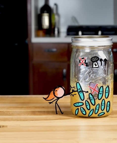 MinuteFood - Why Fermented Veggies Can Be Safer Than Raw