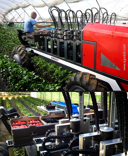 Agrobot-SW6010-Strawberry-Harvester.jpg