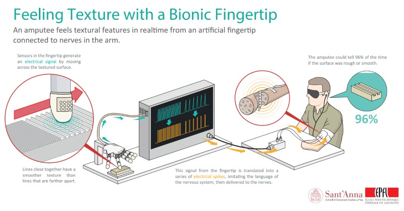 Bionic_fingerprint_2.jpg