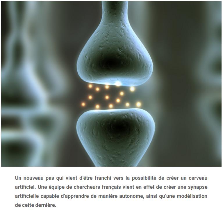 CNRS-synapse-artificielle-capable-dapprendre.jpg