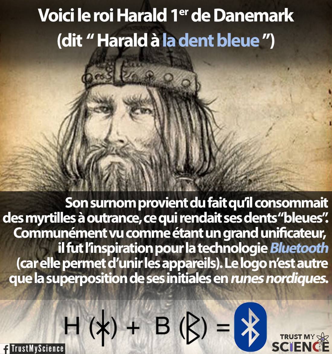 Harald_Ier_de_Danemark-bluetooth.jpg
