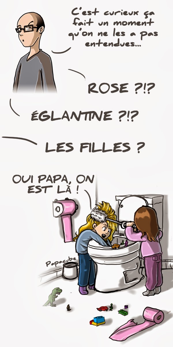 Papacube_2014_03_17_les_WC.jpg
