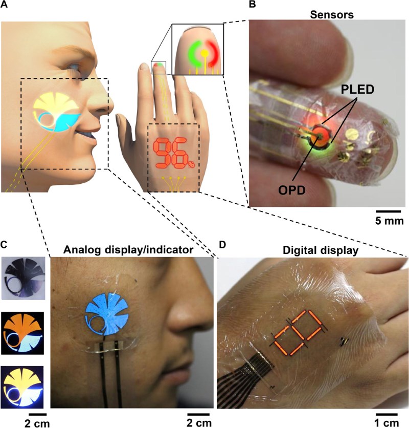 PhotonicSkin.large.jpg