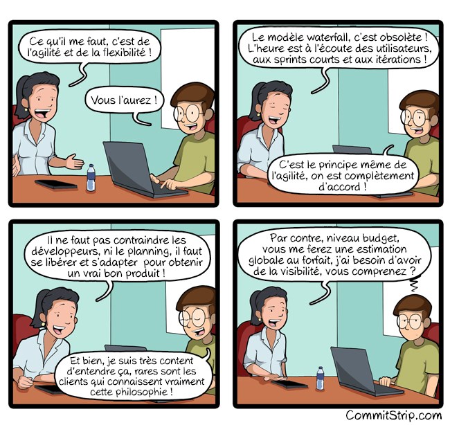 Strip-Budegt-fixe-pour-projet-flexible-650-final.jpg