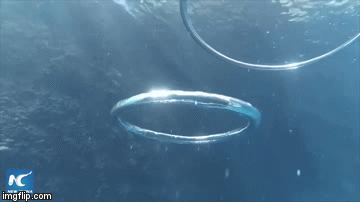 Stunning footage in slow motion Two bubble rings collide.gif