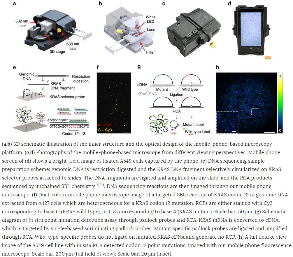 Targeted_DNA_sequencing_and_in_situ_mutation_analysis_using_mobile_phone_microscopy.jpg