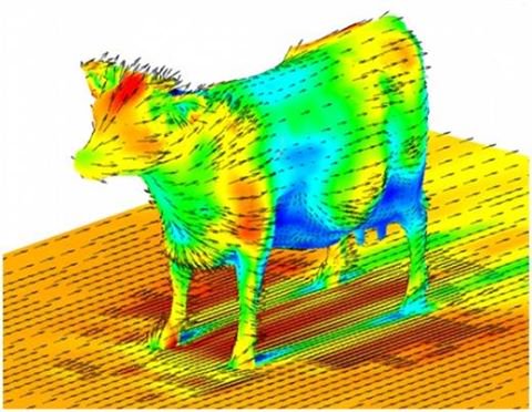 Twitter CaldeiraENG aérodynamique vache.jpg