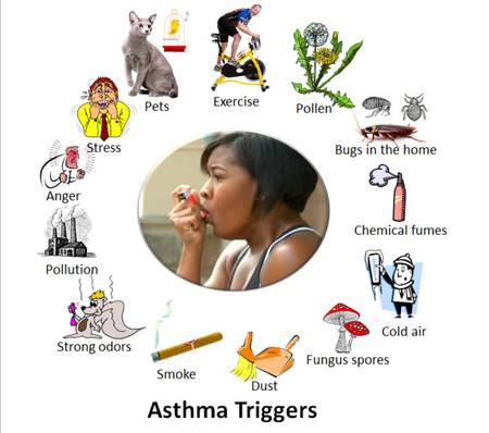 asthme_7mike5000_Wikimedia_Commons_cc_by_sa_01.jpg