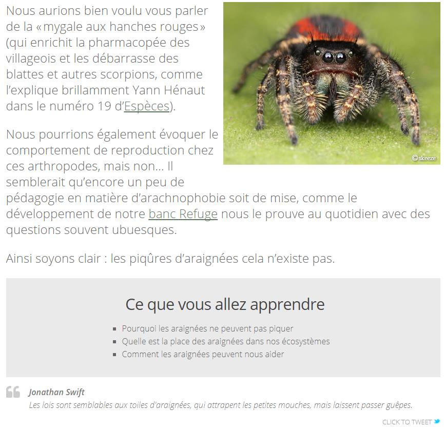 blog.defi-ecologique.com_-_Piqures_d_araignees.jpg