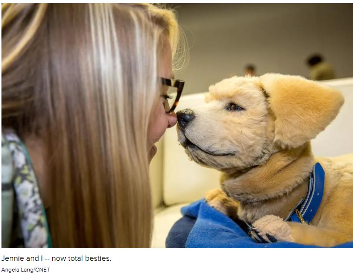 cnet.com a-snoring-robot-labrador-puppy-stole-my-whole-heart-at-ces-2020.jpg