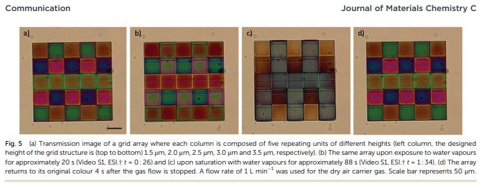 cordis.europa.eu microscopic-3d-printed-sensors-to-detect-hazardous-gases-and-vapours.jpg