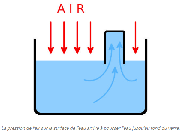 couleur-science.eu comment-leau-fait-pour-monter-dans-un-arbre-au-dela-de-10-metres.png