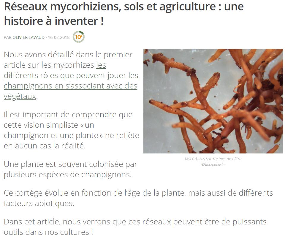 defi-ecologique.com reseaux-mycorhiziens.jpg