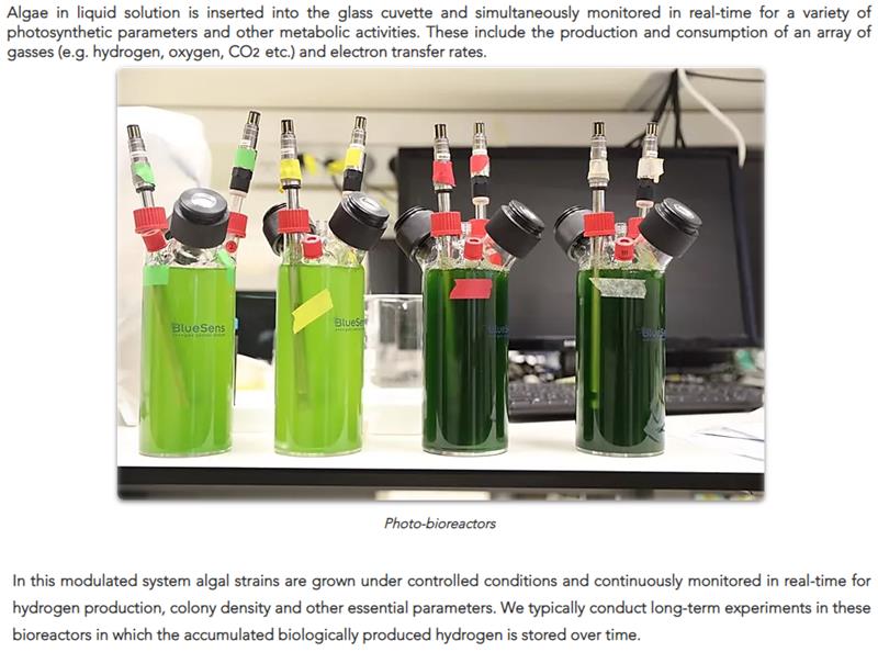 energylabtau.com research.jpg