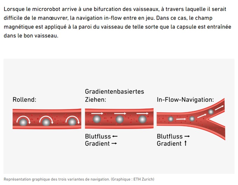 ETH - Les microrobots trouvent leur chemin - livrer les traitements au plus près dans le corps