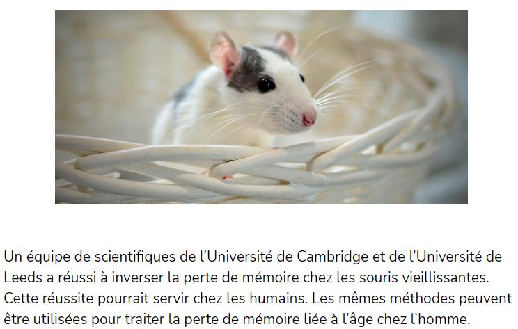 europeanscientist.com des-chercheurs-ont-pu-inverser-la-perte-de-memoire-liee-a-lage-chez-la-souris.jpg