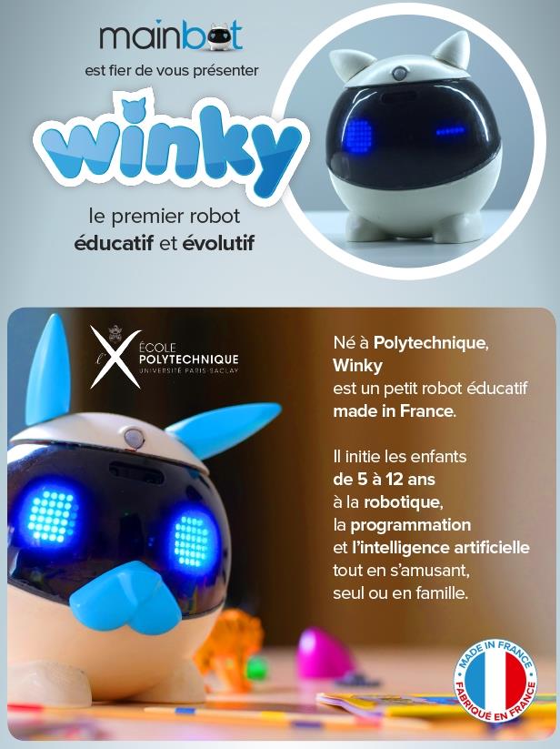 fr.ulule.com winky-robot.jpg