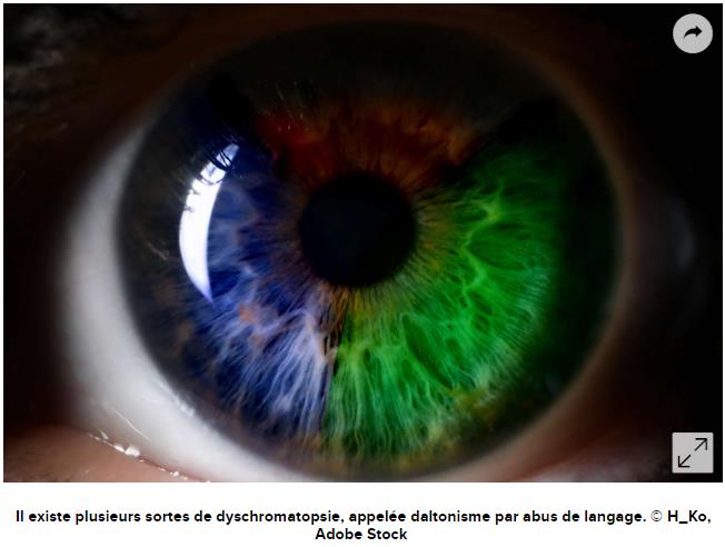 futura-sciences.com daltonisme-ces-lentilles-permettent-daltoniens-distinguer-rouge.jpg