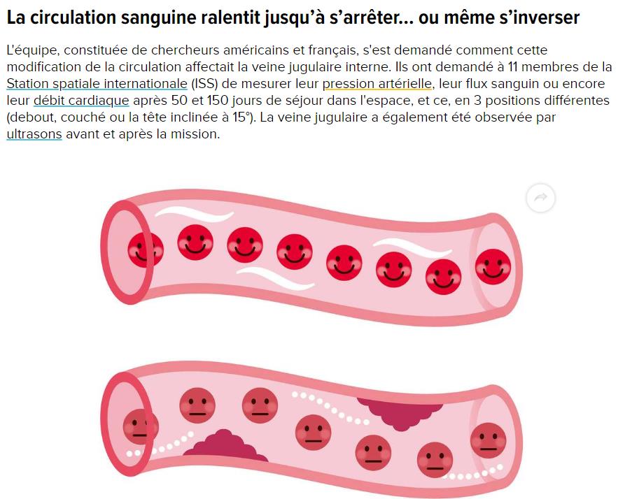 futura-sciences.com medecine-science-decalee-microgravite-fait-circuler-sang-astronautes-envers.jpg