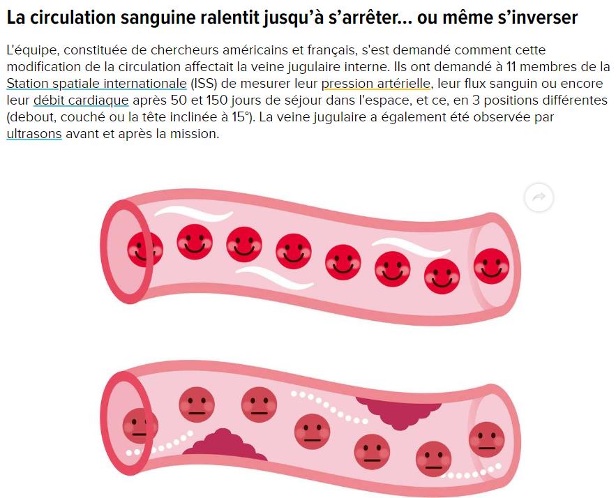 futura-sciences.com medecine-science-decalee-microgravite-fait-circuler-sang-astronautes-envers.jpg