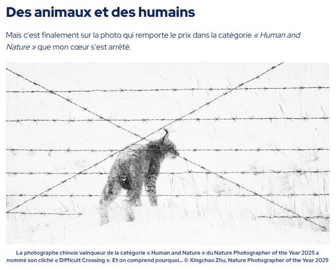 futura-sciences - Le photographe chinois vainqueur de la catégorie « Human and Nature » du Nature Photographer of the Year 2025 a nommé son cliché « Difficult Crossing »