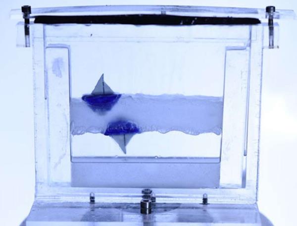futura-sciences.com physique-faire-flotter-bateau-sous-liquide.jpg