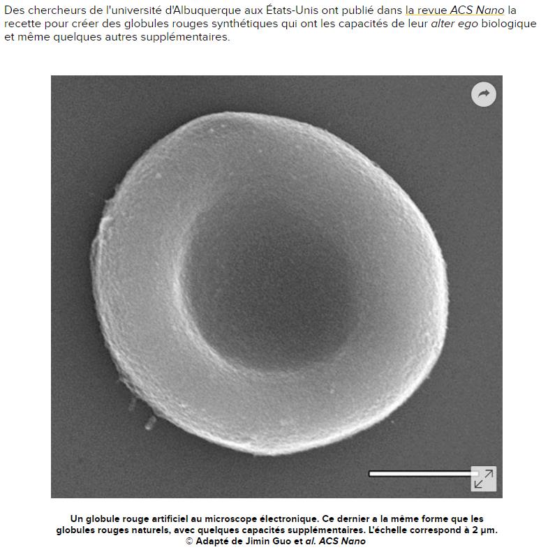 futura-sciences.com sang-globules-rouges-synthetiques-plus-forts-vrais.jpg