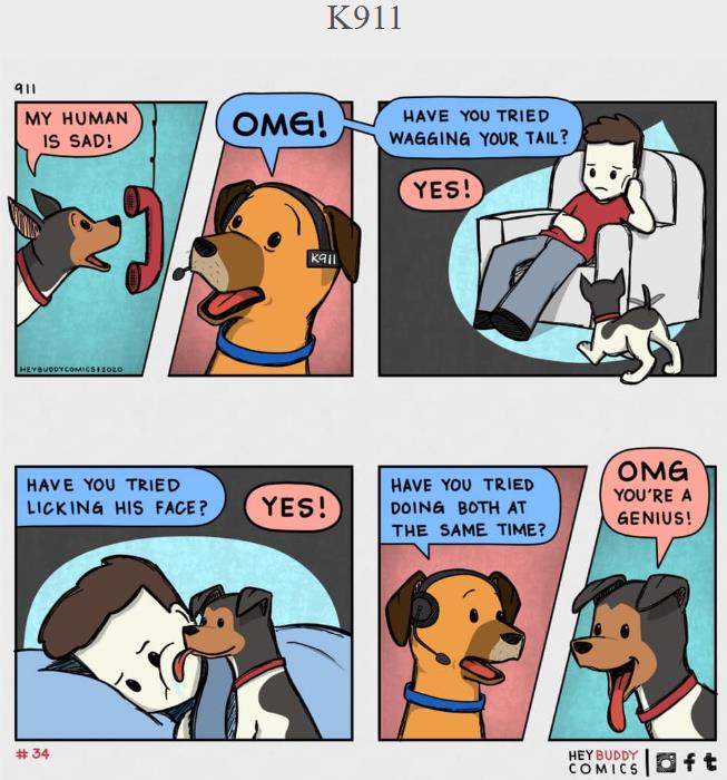 heybuddycomics.com - K911.jpg