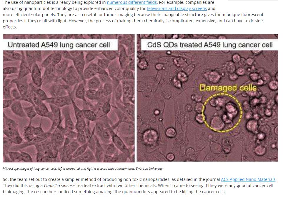 iflscience.com health-and-medicine scientists-accidentally-discover-tea-leaf-nanoparticles-kill-lung-cancer-cells.jpg