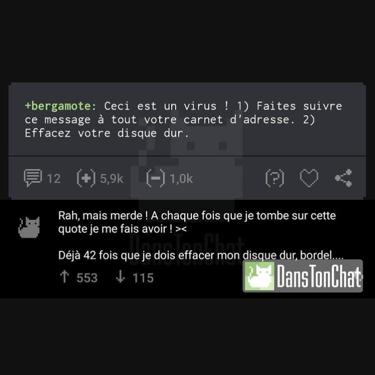 instagram.com - dans.ton.chat - Virus infaillible.jpg