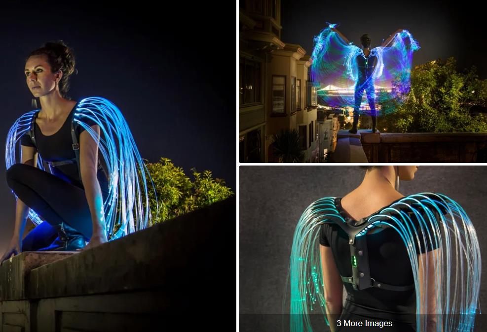 instructables.com Fiber-Optic-Wings.jpg