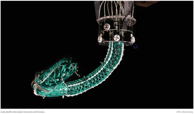 Interestingengineering New Elephant Trunk Inspired Robot For Better Interestingengineering New Elephant Trunk Inspired Robot For Better