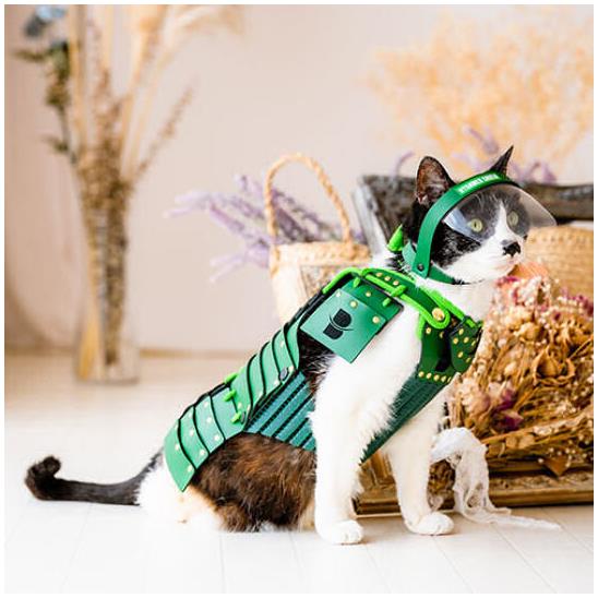 japantrendshop.com FR-samurai-pet-armor-for-cats-and-dogs-green.jpg