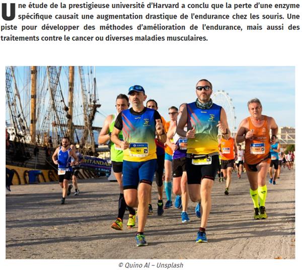 journaldugeek.com enzyme-pourrait-faire-vous-marathonien.jpg