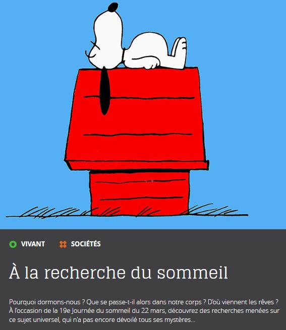 lejournal.cnrs.fr a-la-recherche-du-sommeil.jpg