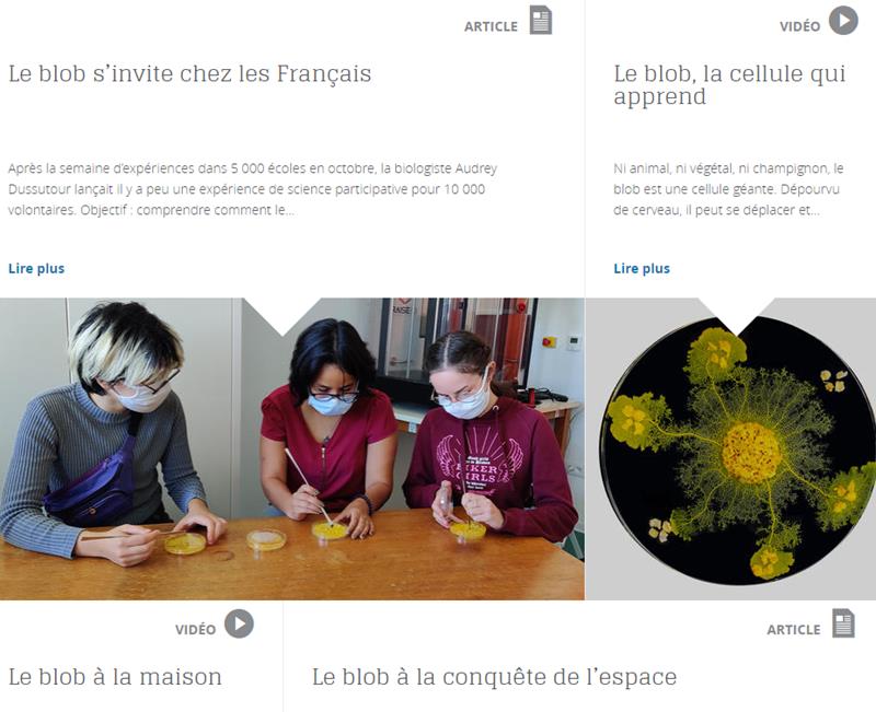 cgtn-fran-ais-la-chine-soutient-la-cr-ation-d-un-tat-facebook