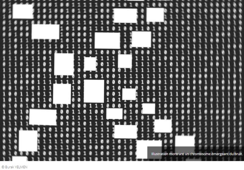 lejournal.cnrs.fr sur-la-piste-des-genomes-artificiels.jpg