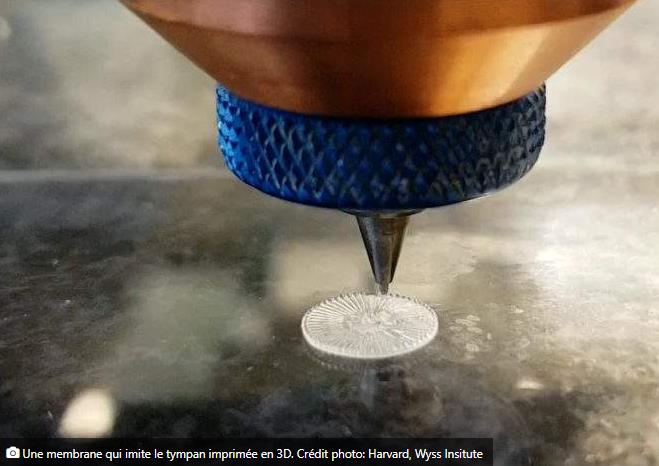 neozone.org une-membrane-imprimee-en-3d-revolutionnaire-pour-reparer-les-tympans-endommages.jpg