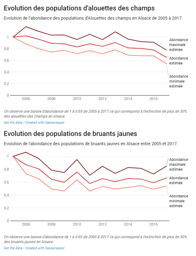 rue89strasbourg.com en-alsace-un-declin-des-populations-doiseaux-de-26-a-100-selon-les-especes.png