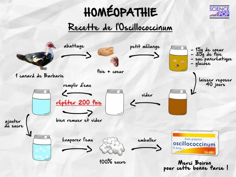 sciencepop.fr recette-de-loscillococcinum-best-seller-de-boiron.jpg