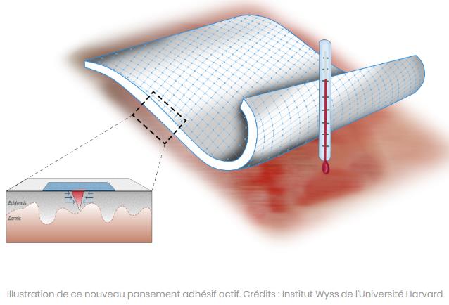 sciencepost.fr ce-nouveau-pansement-est-inspire-de-la-peau-du-foetus.jpg