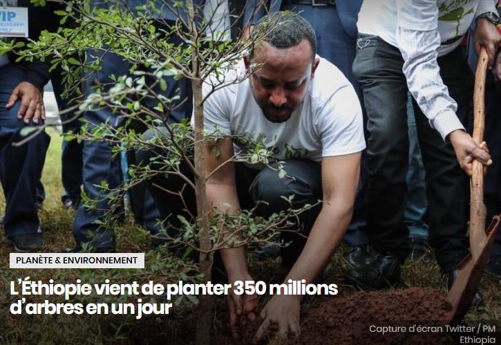 sciencepost.fr lethiopie-vient-de-planter-350-millions-darbres-en-un-jour.jpg