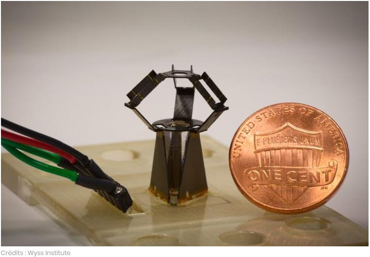 sciencepost.fr plus-petit-robot-delta-jamais-concu-dune-precision-normes.jpg