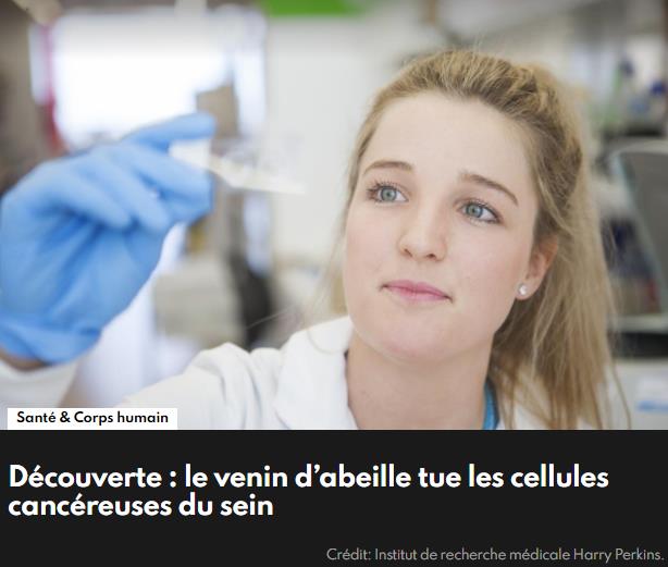 sciencepost.fr venin-abeille-cancer-du-sein.jpg