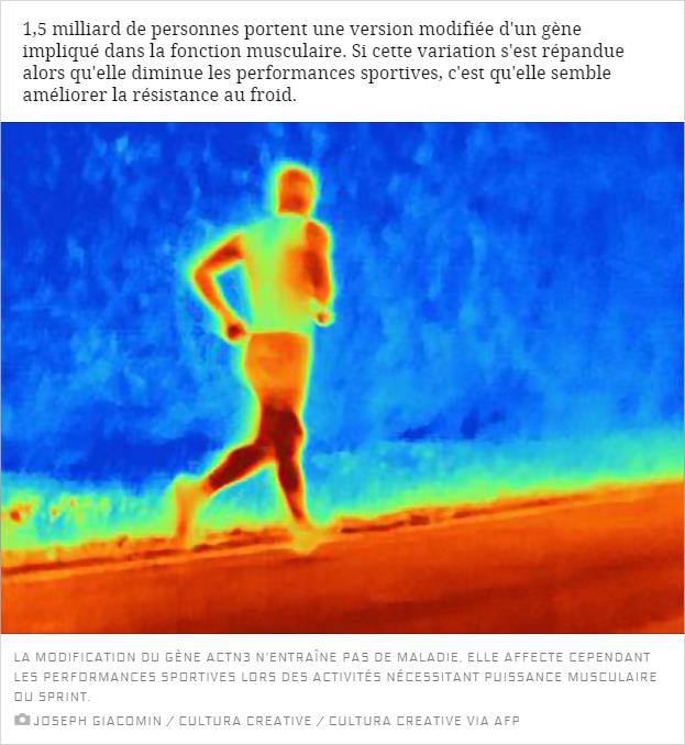 sciencesetavenir.fr 1-5-milliards-de-personnes-possedent-un-gene-qui-protege-du-froid-mais-diminue-les-performances-sportives.jpg