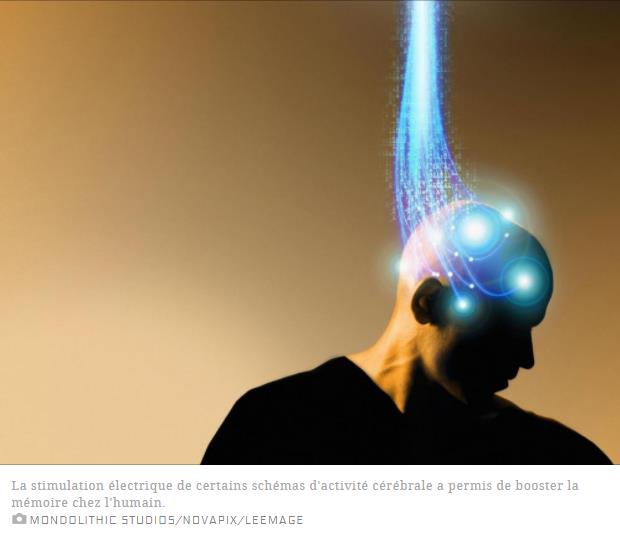 sciencesetavenir.fr cerveau-et-psy un-implant-cerebral-pour-booster-la-memoire-c-est-fait.jpg