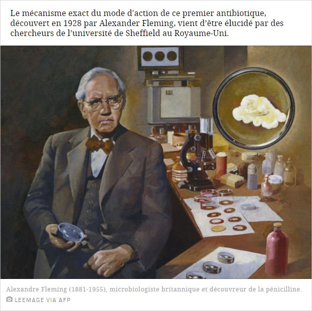 sciencesetavenir.fr pres-d-un-siecle-apres-on-comprend-enfin-comment-fonctionne-la-penicilline.jpg