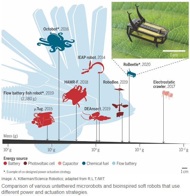 spectrum.ieee.org robeetle-liquid-methanol.jpg