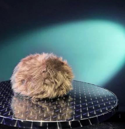 technabob.com star-trek-interactive-tribbles.jpg