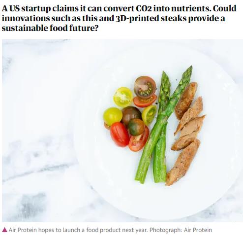 theguardian.com the-vegan-revolution-why-the-latest-meat-is-made-entirely-from-thin-air.jpg